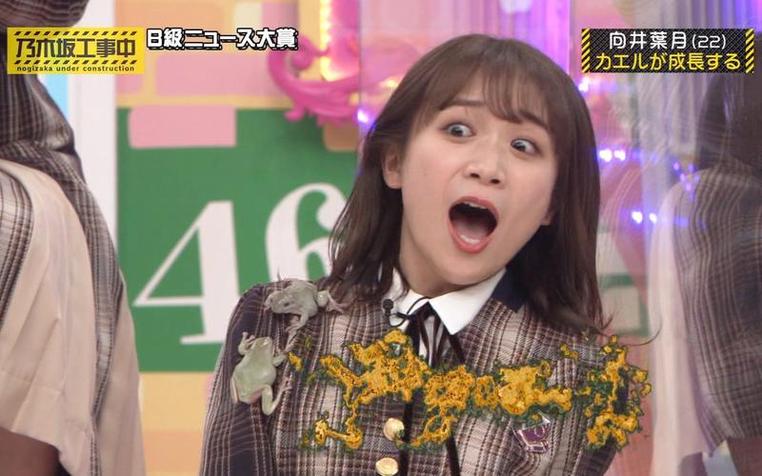 《乃木坂工事中》368：“女团狙击手”专业训练，让我们看到了乃木坂的决心