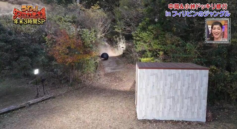 AKB连袂出演，《整人大赏》游泳环节让您笑到停不下来