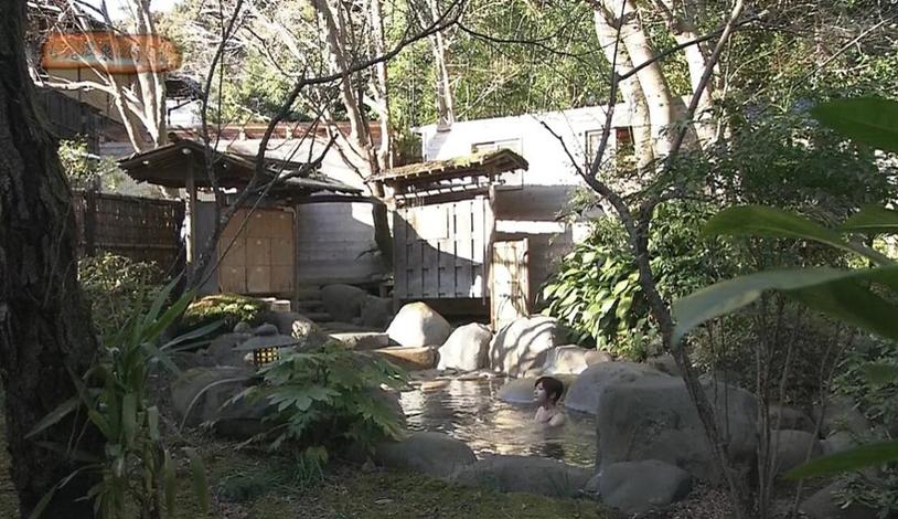 每一段路程都是一场视觉盛宴，《温泉行不行》日本综艺节目哪里能看？