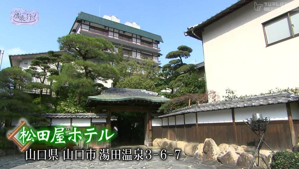 狂欢温泉节，改变你的旅游经历——《温泉行不行》电视板下载