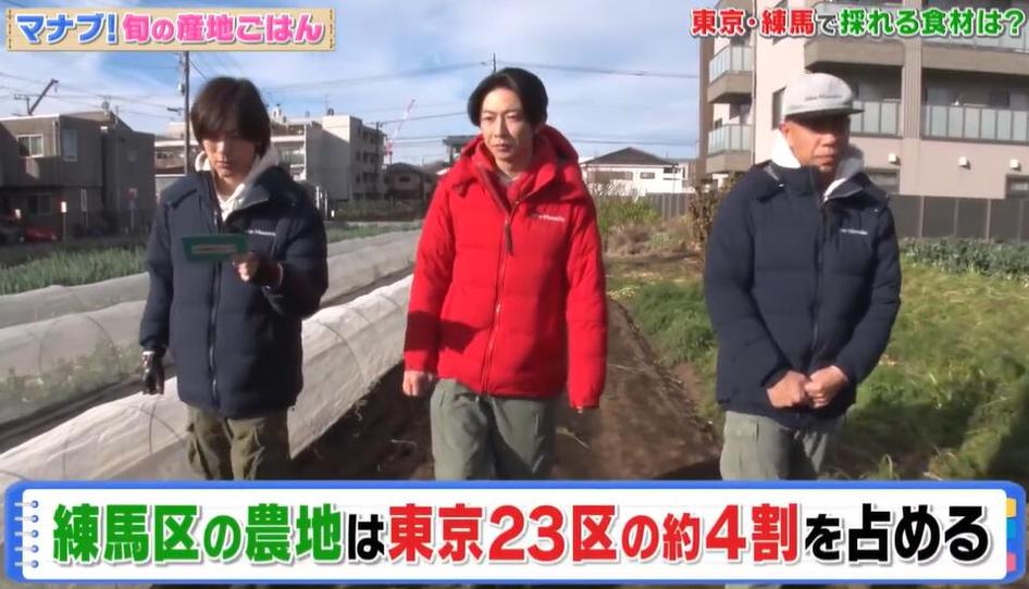 无需出门，即可加强自身素质——看看《相叶学》百度网盘就好